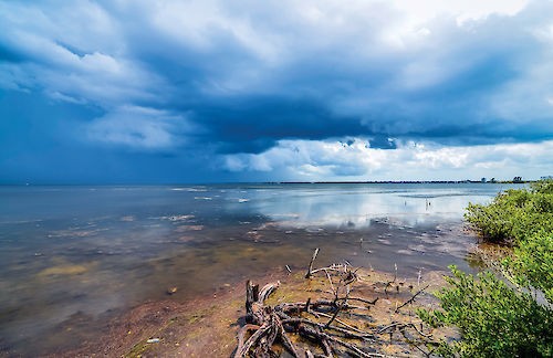 Photo of a lagoon in the Northern Estuaries area of the project